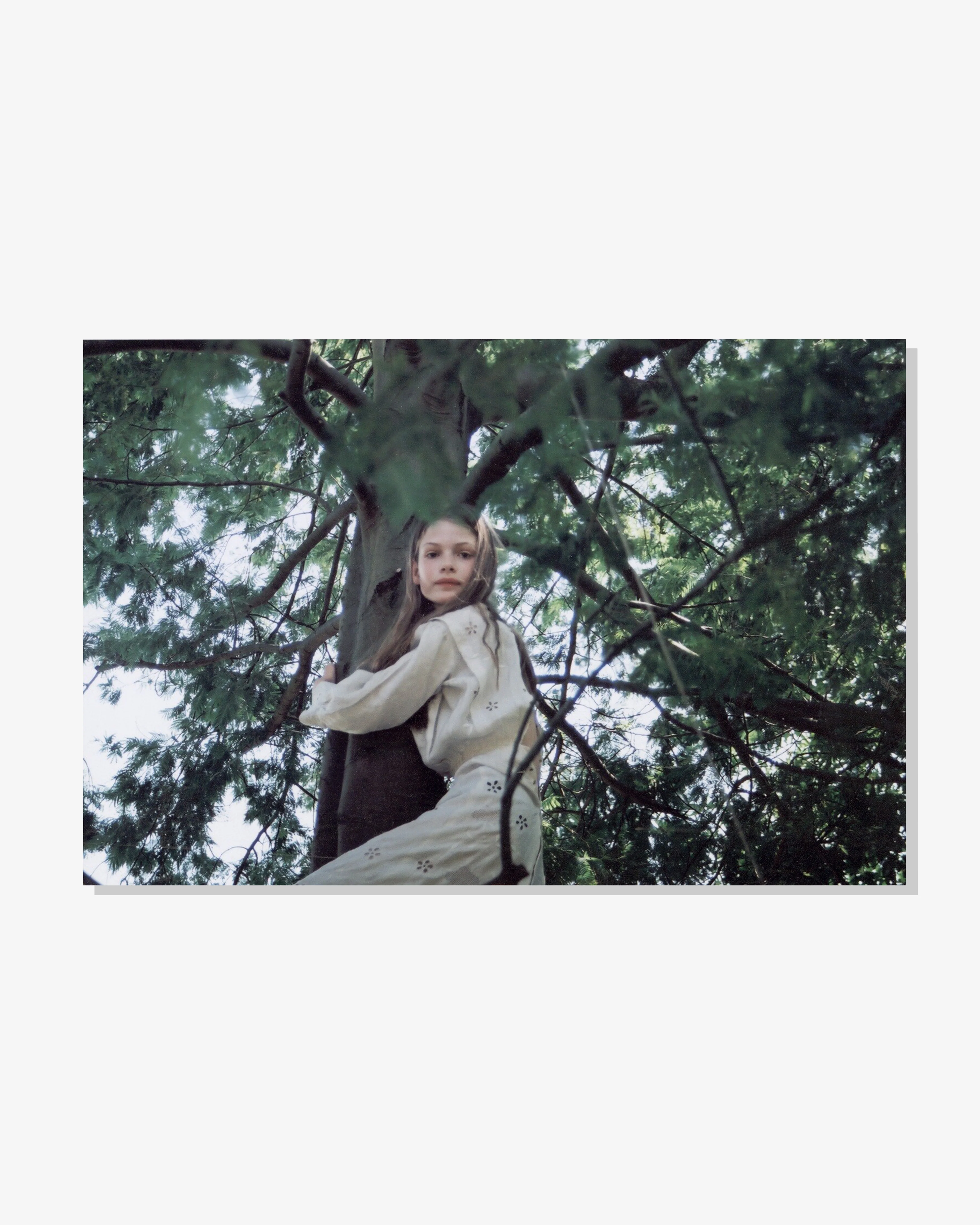 Idea - Angela Hill: Sylvia 2nd Edition - (Multi)