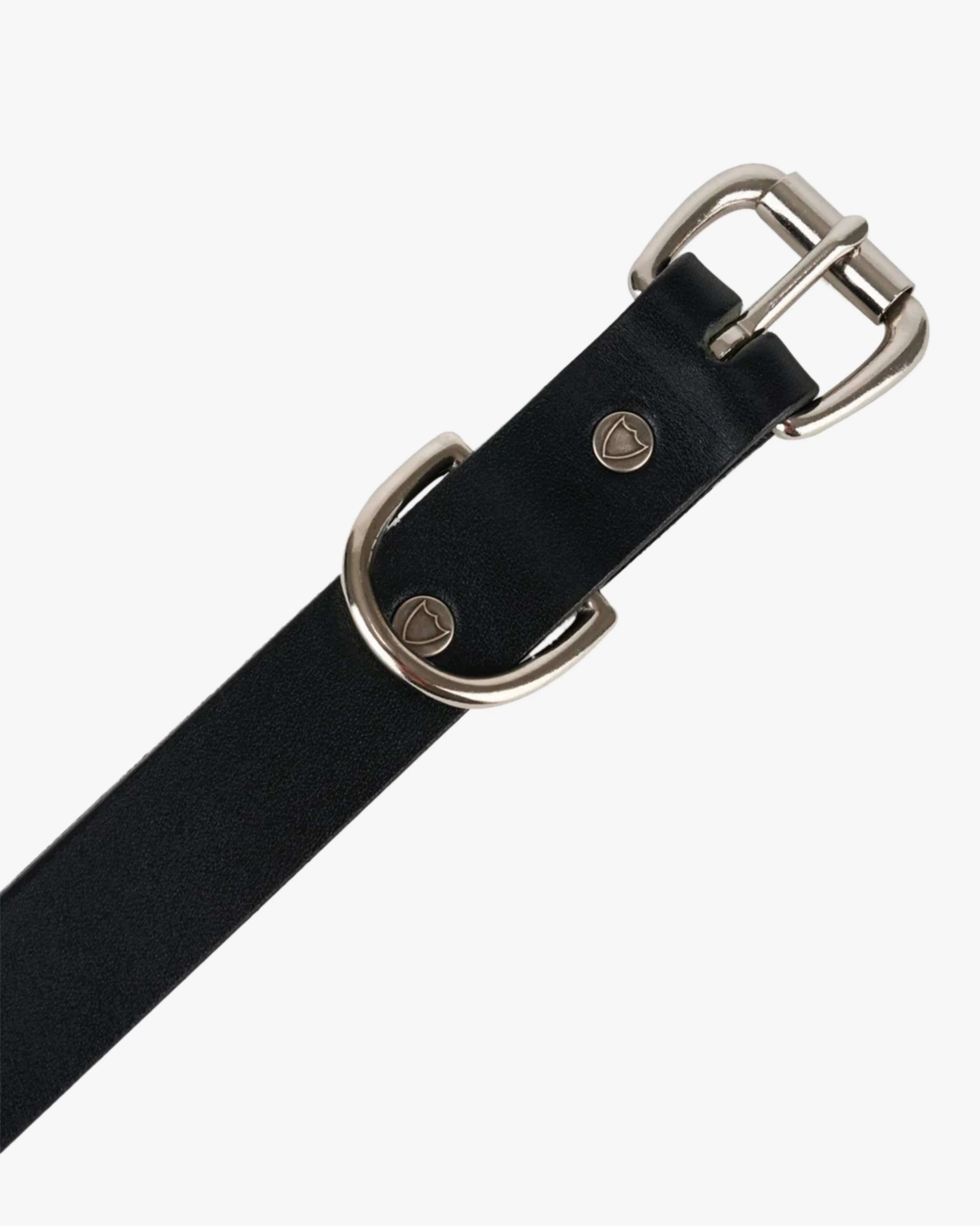 Brain Dead x Hollywood Trading Co. - Men's Studded Skinny Belt - (Black)